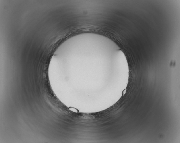 X0000114020215200911131234