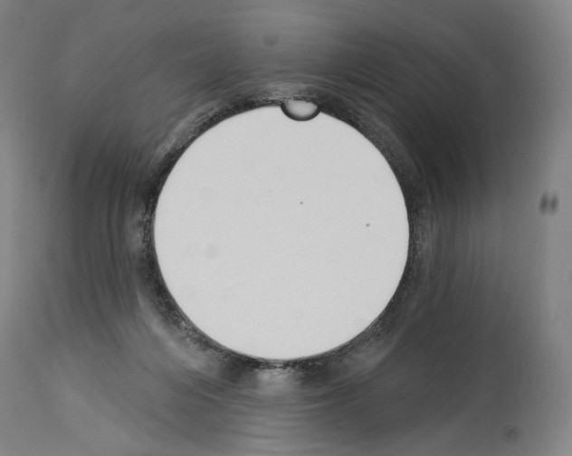 X0000114020216200911131234