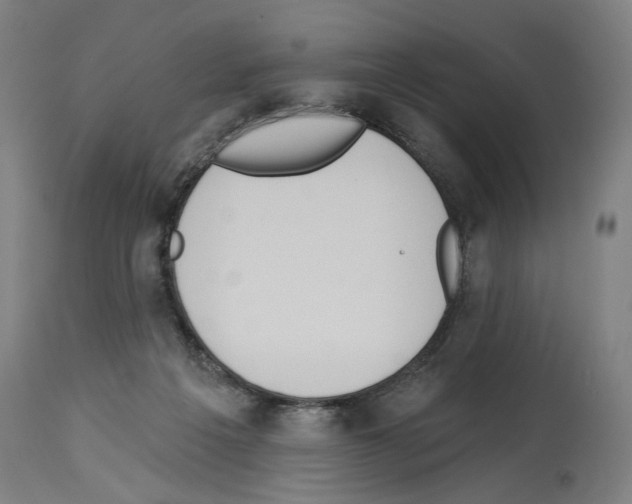 X0000114020217200911131234