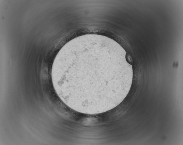 X0000114020220200911131234