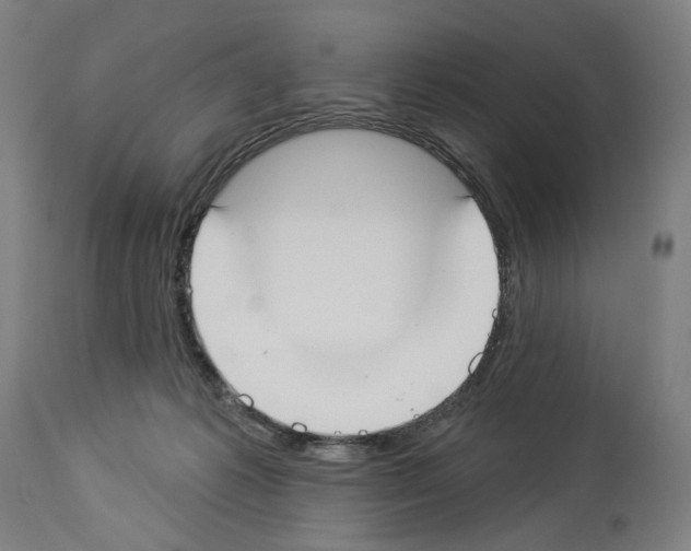 X0000114020221200911131234