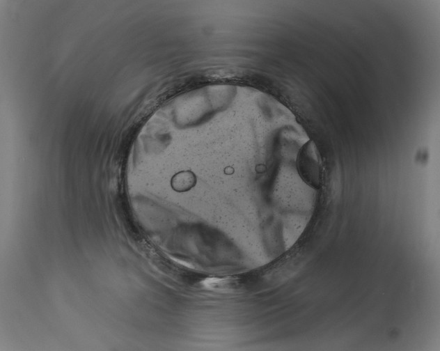 X0000114020227200911131234