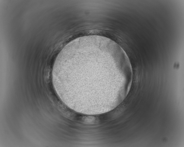 X0000114020230200911131234