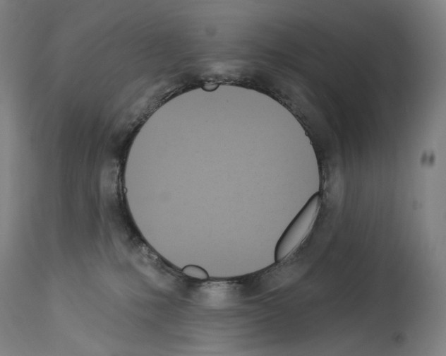 X0000114020231200911131234