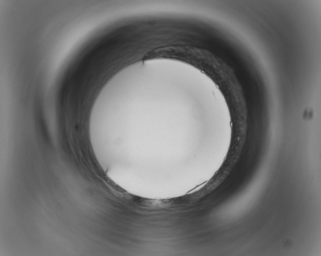 X0000114020239200911131234