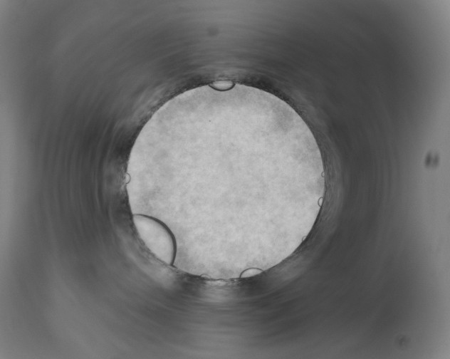 X0000114020240200911131234