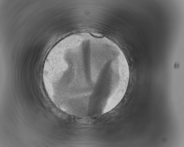 X0000114020241200911131233