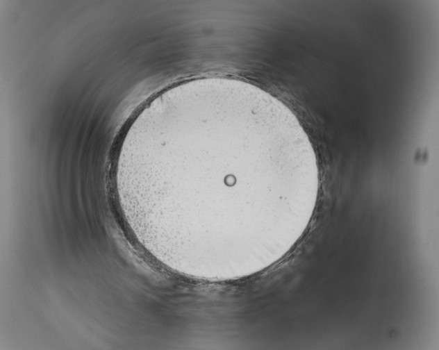 X0000114020242200911131233