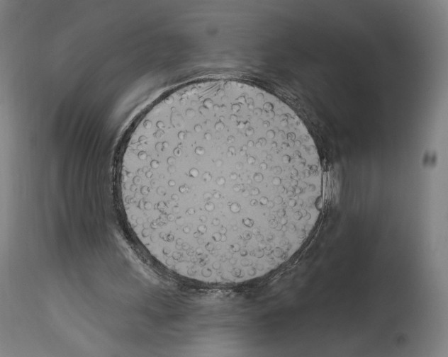 X0000114020243200911131233