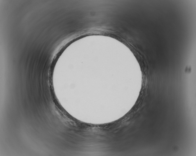 X0000114020244200911131233