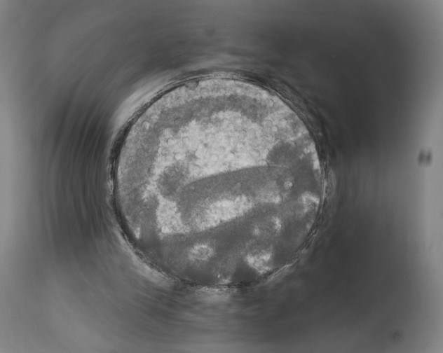 X0000114020245200911131233