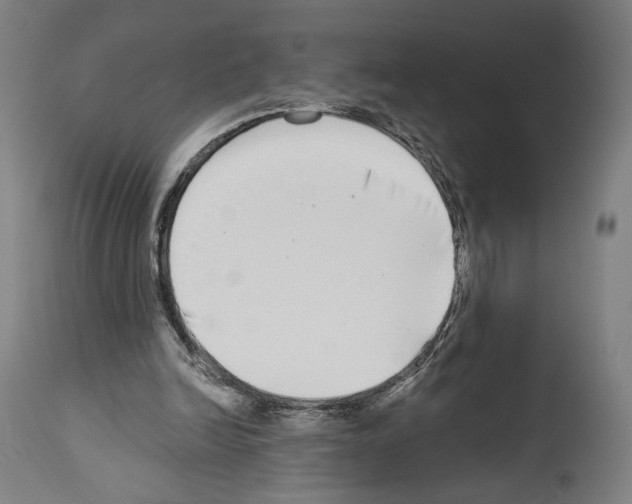 X0000114020246200911131233