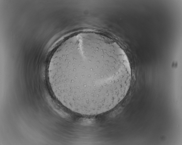 X0000114020247200911131233