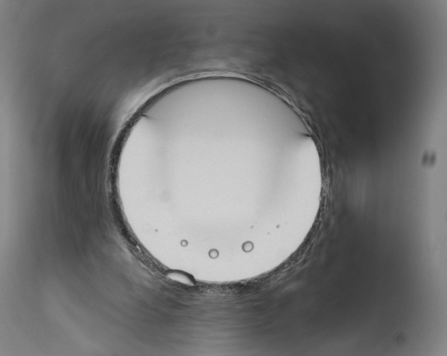 X0000114020248200911131233