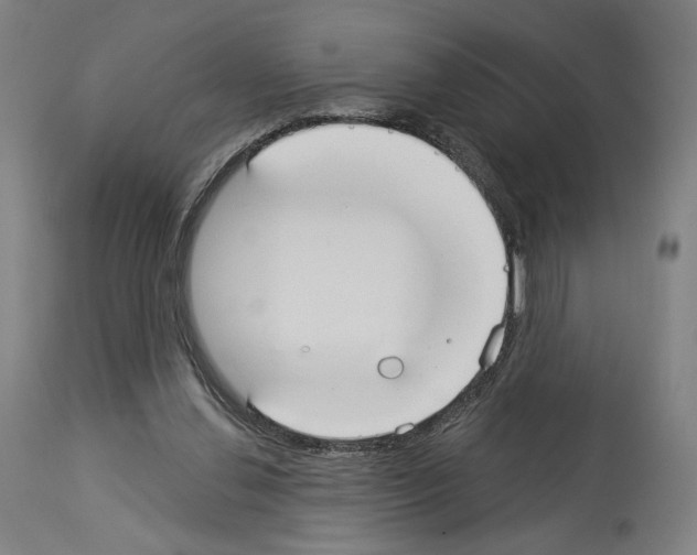 X0000114020252200911131233