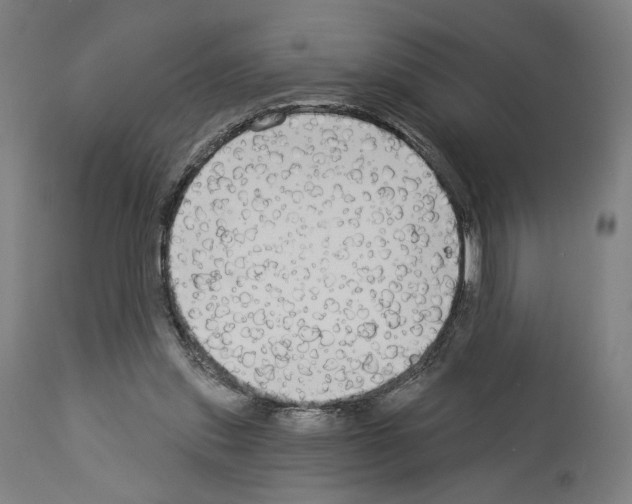 X0000114020253200911131233