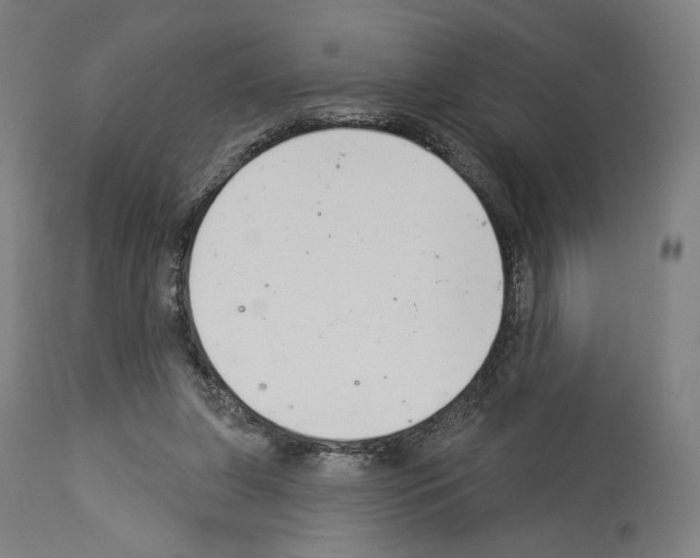 X0000114020255200911131233