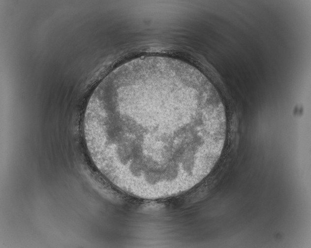 X0000114020257200911131233