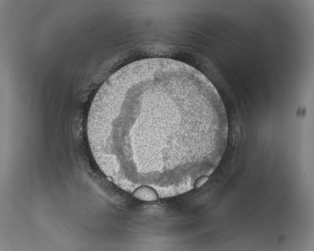 X0000114020259200911131233