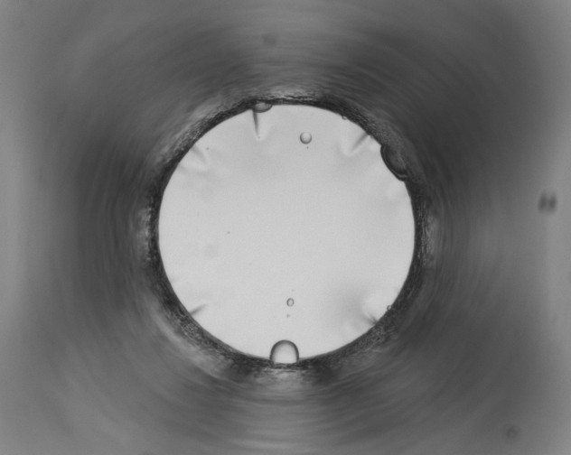 X0000114020260200911131233