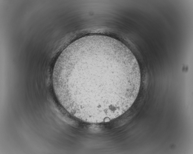 X0000114020261200911131233