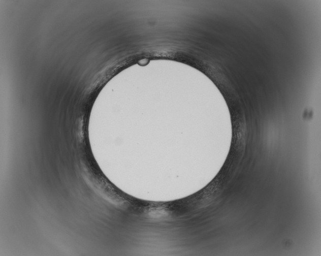 X0000114020262200911131233