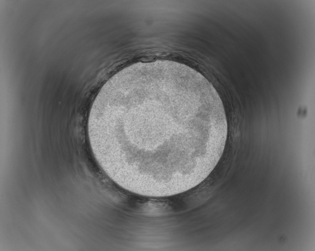 X0000114020270200911131233