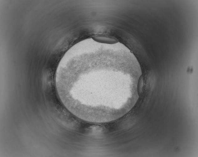 X0000114020272200911131233