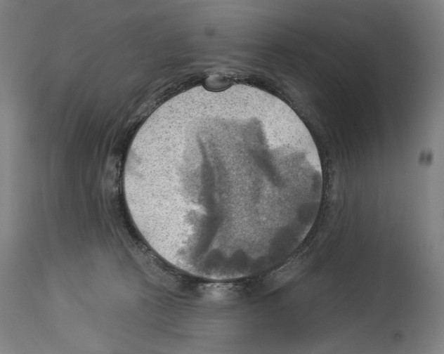 X0000114020273200911131233