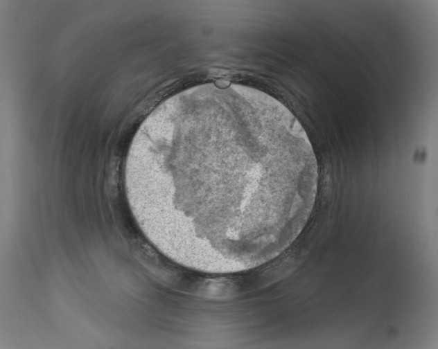 X0000114020275200911131233