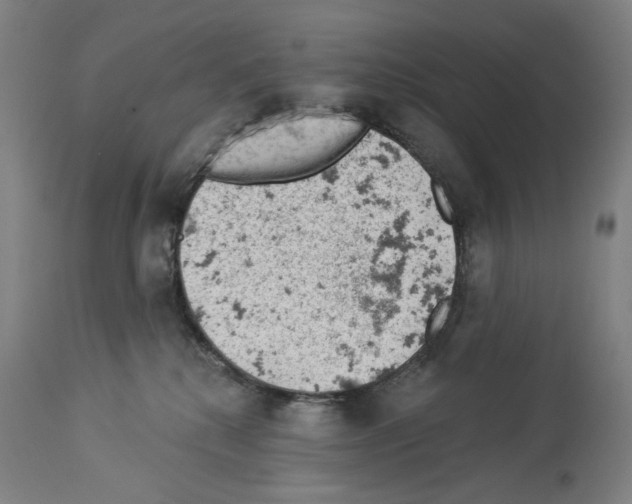 X0000114020280200911131234