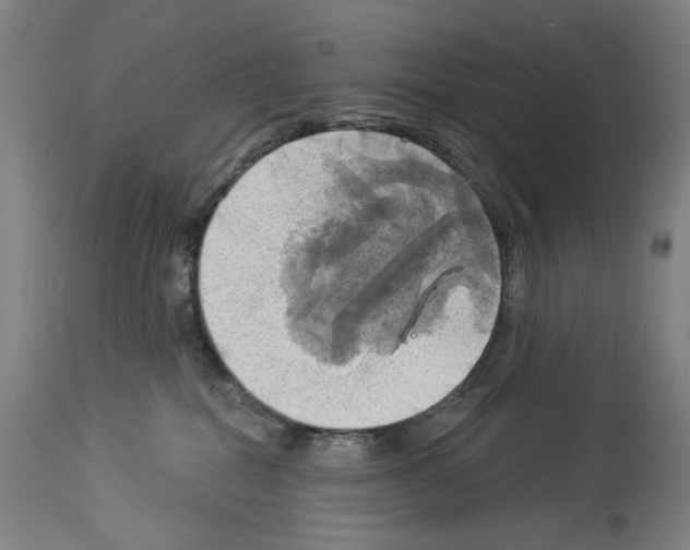 X0000114020282200911131234