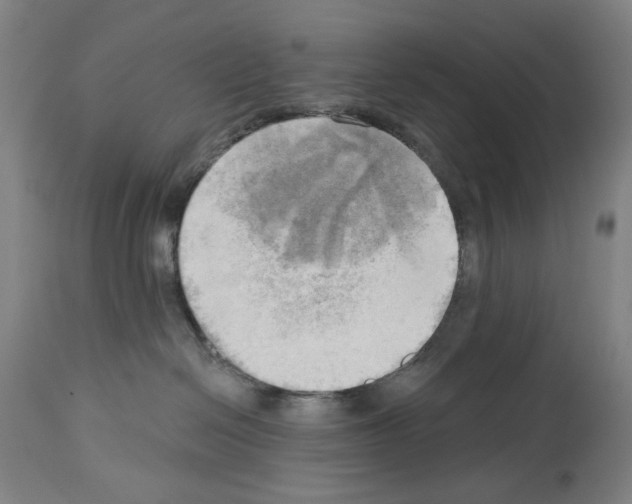 X0000114020286200911131234