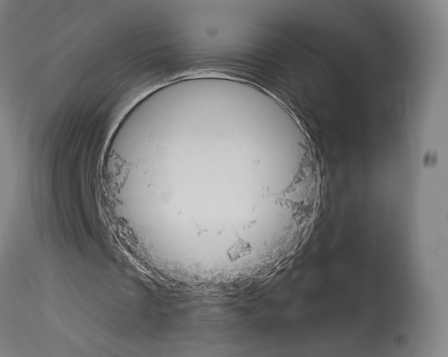 X0000114020289200911131233