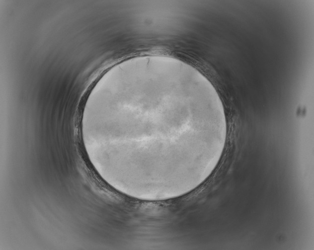 X0000114020290200911131233