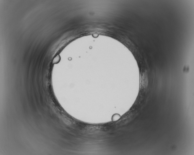 X0000114020291200911131233