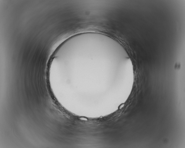 X0000114020292200911131233