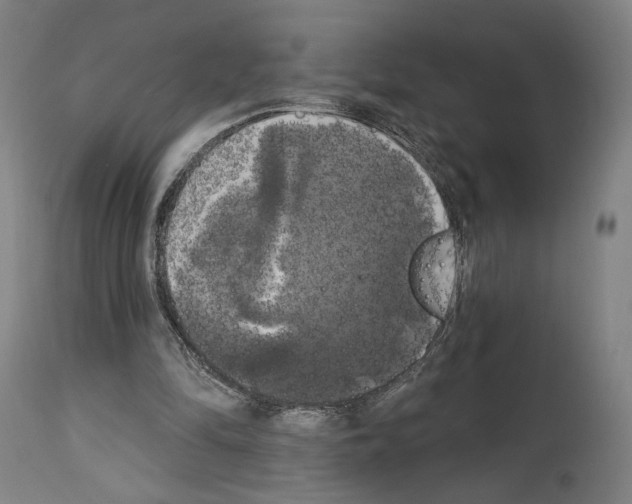 X0000114020294200911131233