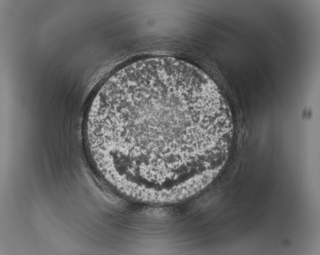 X0000114020299200911131233