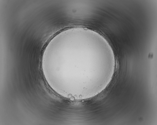 X0000114020301200911131233