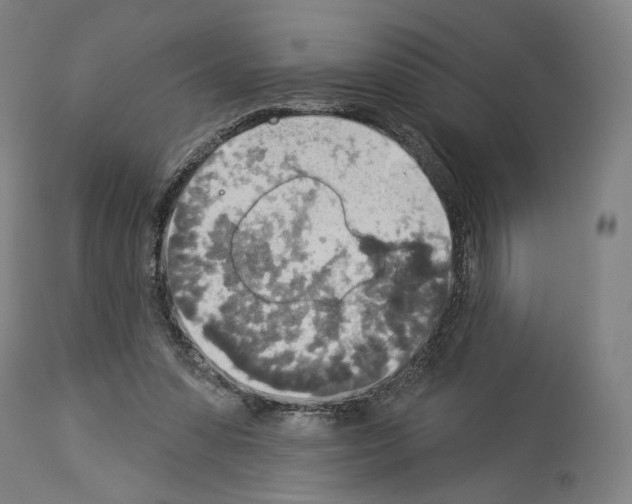 X0000114020303200911131233