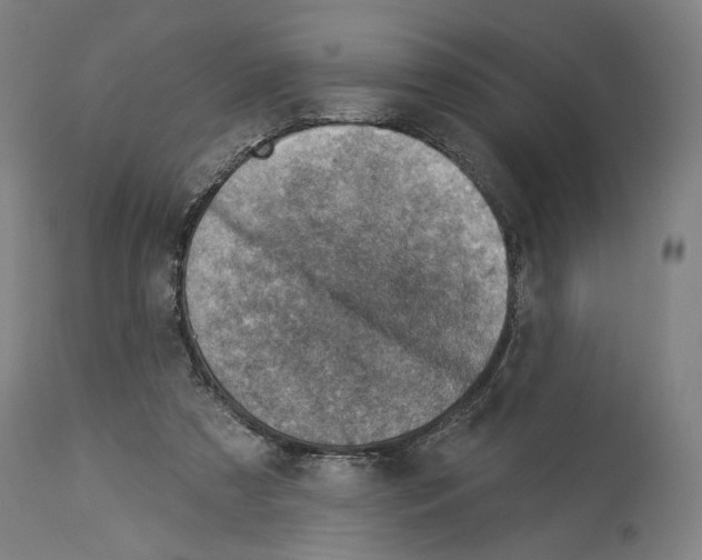 X0000114020305200911131233