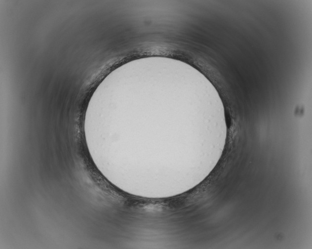 X0000114020306200911131233