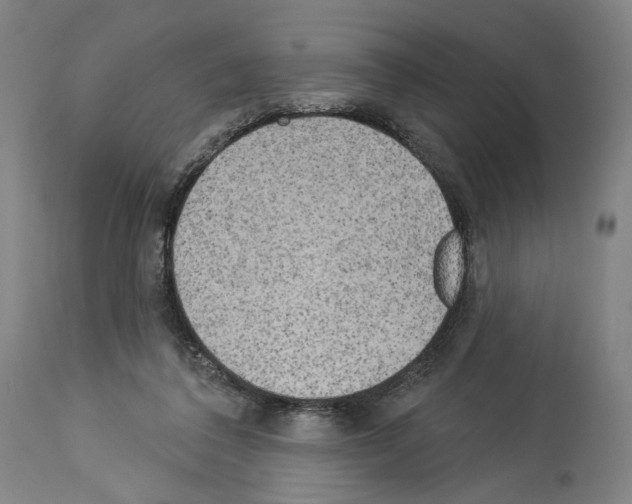 X0000114020308200911131233