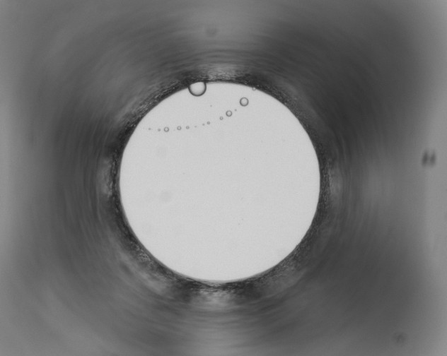 X0000114020311200911131233