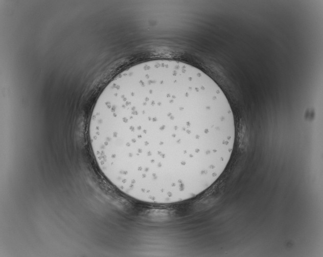 X0000114020314200911131232