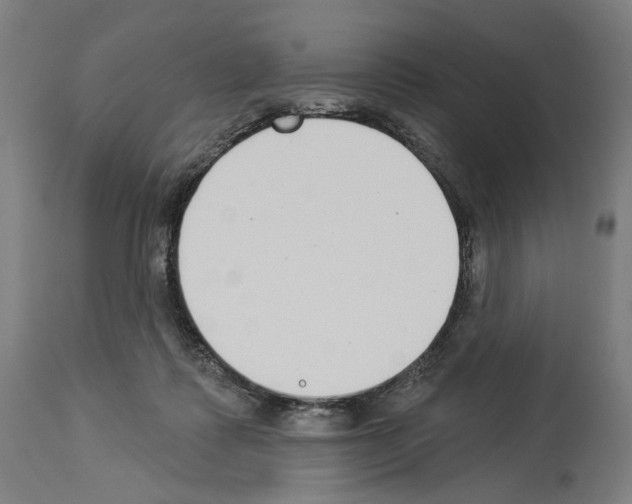 X0000114020315200911131232