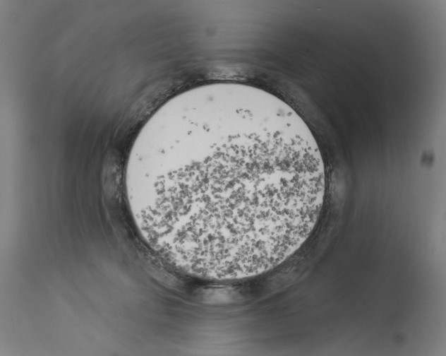 X0000114020322200911131232