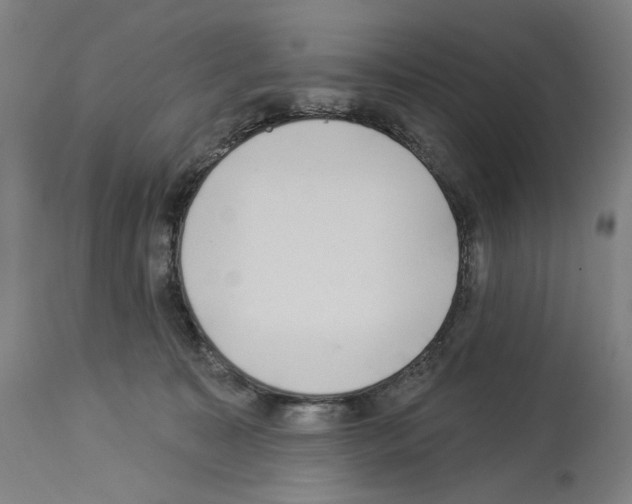 X0000114020323200911131232