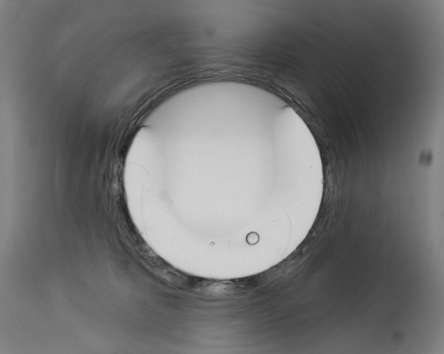 X0000114020325200911131232